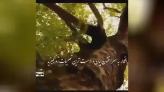 الهی همه ایرانی ها عاقبت بخیر بشن