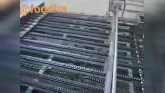 فقط نگاه کنید