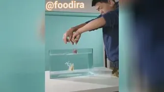 فقط نگاه کنید