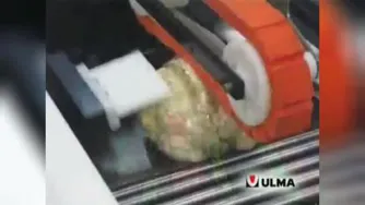فقط نگاه کنید