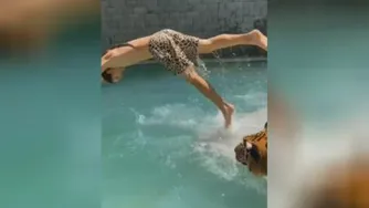 وَقتیْ قاطیهِ شیرا میشی😎