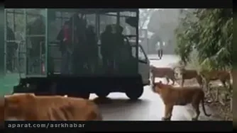 قَفَسِ آدَماْ😂😅