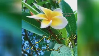 به خودت قول بده که