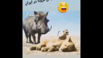 کرونا در ایران