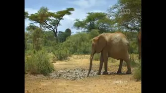 مستند زندگی از بالا قسمت 1