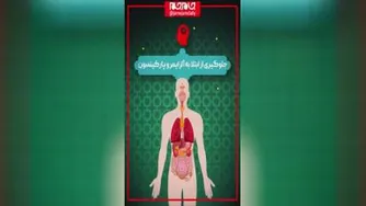 تحقیقات علمی آثار روزه بر بدن
