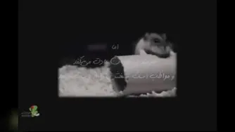 تفاوت کارمند و کار آفرین