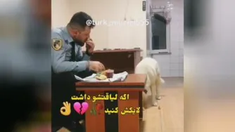 مهربانی با حیوانات
