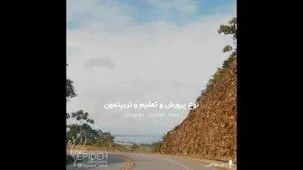 راز موفقیت از زبان دکتر هلاکویی #ورزشی #کرونا