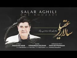 سالار عقیلی: خاطرات روزهای خاص
