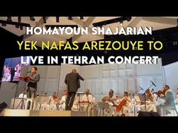 نمایش زنده اجرای قطعه یک نفس آرزوی تو از دیدگاه حاضران - کنسرت تهران در تیرماه