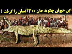 این حیوان چگونه 300 انسان را به کشتن داد؟ - 8 مورد از خطرناک‌ترین حیوانات تاریخ