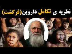 نظریه تکامل داروین و پاسخ به منشا انسان: حقیقت چیست؟ دین یا علم؟