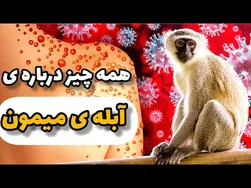 آبله میمون: شناخت و راه‌های انتقال آن