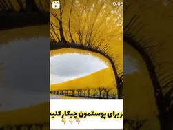 پاییز: پوست بهبود می‌یابد یا آسیب می‌بیند؟