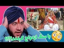 😳 آیا کسی با سگ ازدواج کرده است؟!! 😳