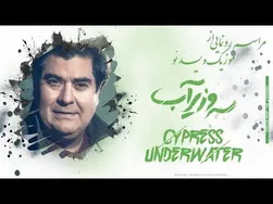 مراسم بی‌نظیر رونمایی از موزیک ویدیو سرو زیر آب سالار عقیلی