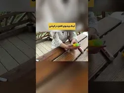 چگونه از نیش حشرات نجات پیدا کنیم؟