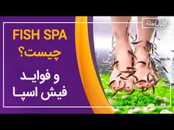 فیش اسپا و مزایای شگفت‌انگیز آن