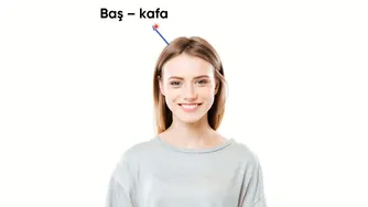 آشنایی با اعضای بدن به زبان ترکی استانبولی
