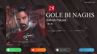 سهراب پاکزاد - گل بی‌نقص