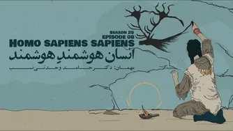 قسمت هشتم: هومو ساپینس ساپینس — انسانِ خردمند