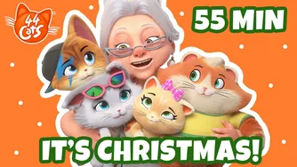 جشن کریسمس با ۴۴ گربه! 😻🎄 بیش از ۵۰ دقیقه سرگرمی برای تمام اعضای خانواده