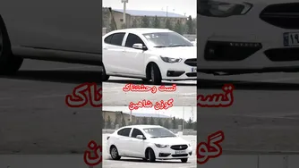 تست گوزن وحشتناک شاهین — واکنش، پایداری و ایمنی در مانور ناگهانی
