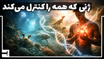 ۵۰۰ میلیون سال تپش؛ ماجرای شگفت‌انگیز تکامل قلب
