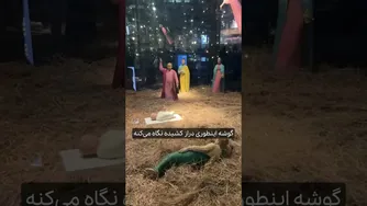 یک روایت هنری متفاوت از تولد مسیح