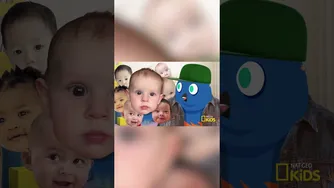 نگاهی به نیویورک در شب سال نو | ۵۰ پرنده، ۵۰ ایالت — @natgeokids