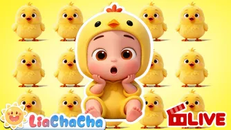 🔴LIVEㅣTop Baby Songs Compilation | Learn Colors, Number | Nursery Rhymes & Kids
