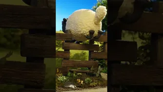 🔁🐑Farm Loop shaunthesheep cartoon loop sheep
