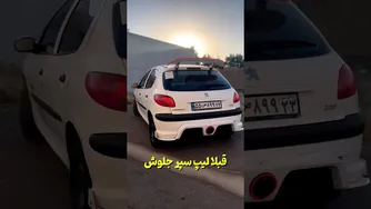 ترفندهای جذاب برای تغییر رنگ چرخ خودروی 206