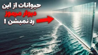 دیواری نامرئی در عمق اقیانوس | راز عجیب خط مرموز والاس