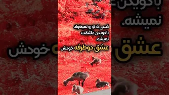 رازهای خودشناسی و روانشناسی برای رشد شخصی