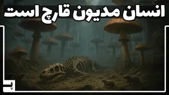 تأثیر قارچ‌ها بر تاریخ انسانیت: چگونه انسانان به سلطنت بر زمین رسیدند؟
