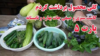 راهنمای کامل کاشت سبزی و صیفی‌جات بهاره و تابستانه در لاستیک ماشین - پارت ۵🤗