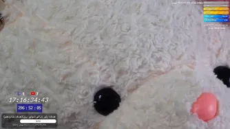دونات خوشمزه روز هجدهم! 🙌😁