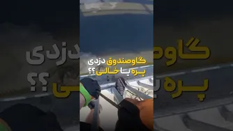ماجرای گاوصندق