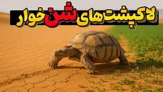 موجودات کندتر جهان، نجات یافته از بیابان‌های آفریقا در برابر تغییرات اقلیمی!