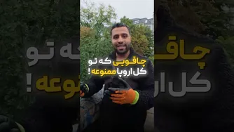 هنر استفاده از چاقو در آشپزی