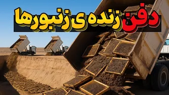 استرالیا میلیون‌ها زنبور عسل را زنده به گور کرد… حقیقتی که شما را شگفت‌زده می‌کند!