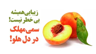 زیبایی همیشه بی‌خطر نیست! سمّ کشنده در دل هلو!
