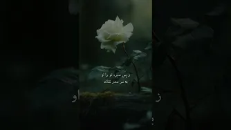 غزل زیبا از مولانا درباره راه‌های پنهان در بن‌بست‌ها | هله نومید نباشید