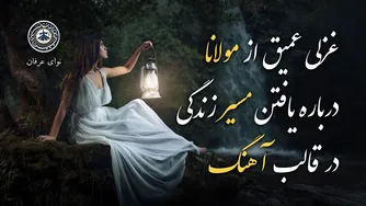 به دل کسی بنشین که از دل باخبر است | غزل 563 از دیوان شمس مولانا