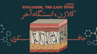قسمت ششم - کُلاژن، ایستگاه آخر