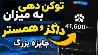 ربات Paws: جایزه بزرگ برای داگز😍همستر و نات کوین
