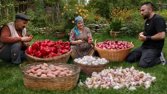 نحوه نگهداری سبزیجات برای زمستان — خانگی و طبیعی 🌶️🥕🥦