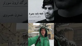 زندگی آرون شواتز: بررسی کتاب «نابغه باید بمیرد»